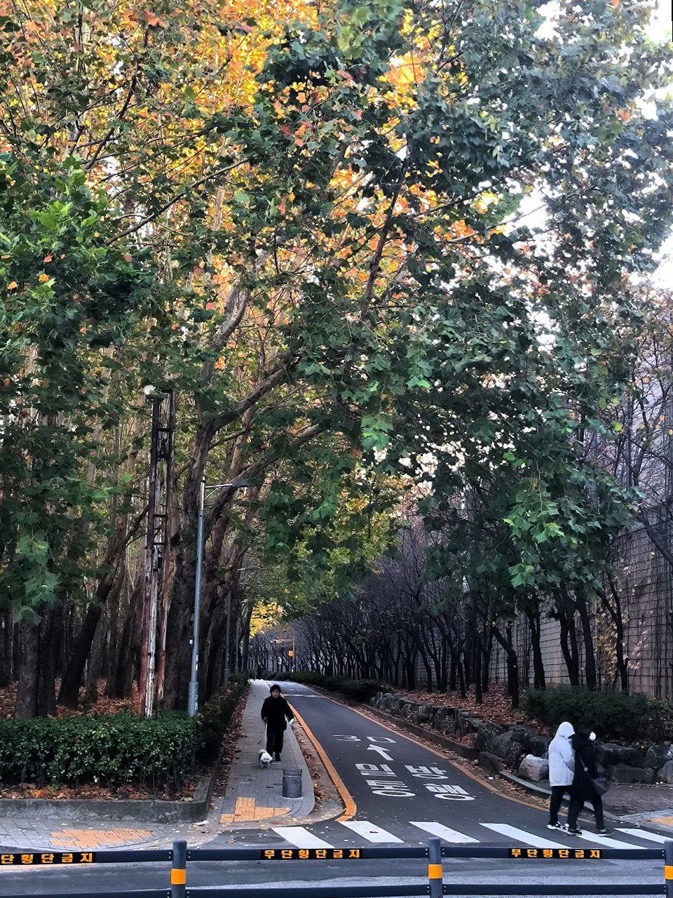 #Seoul, media 2
