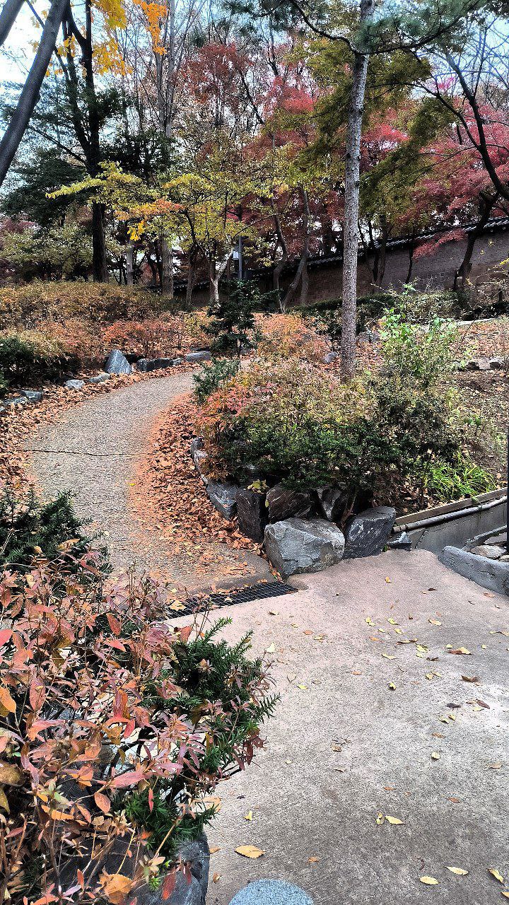 #Seoul, media 3