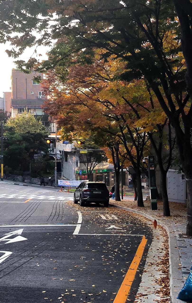 #Seoul, media 4