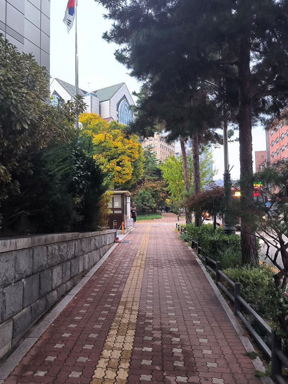 #Seoul, media 5