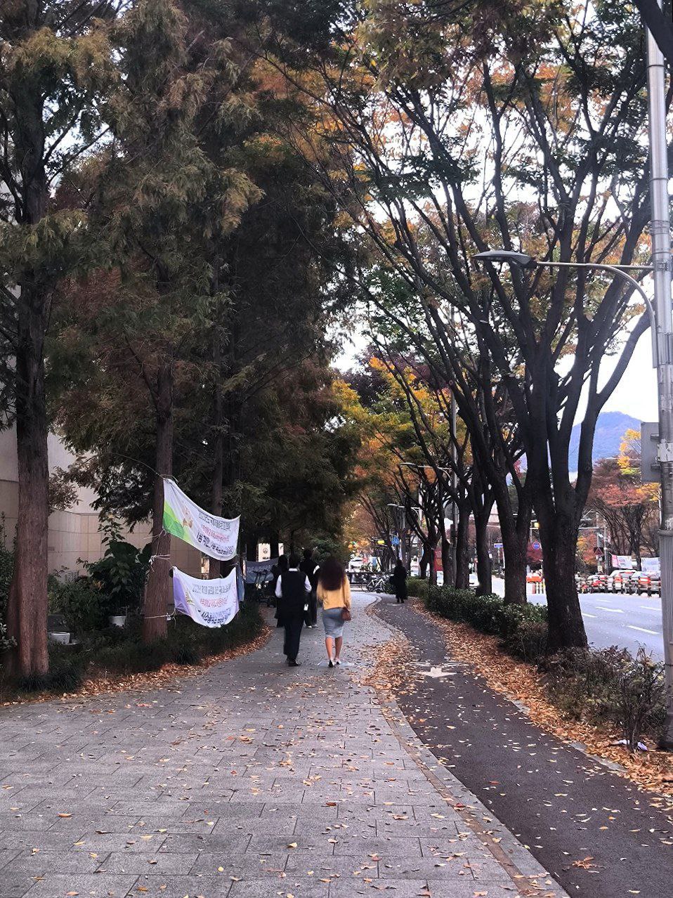 #Seoul, media 8