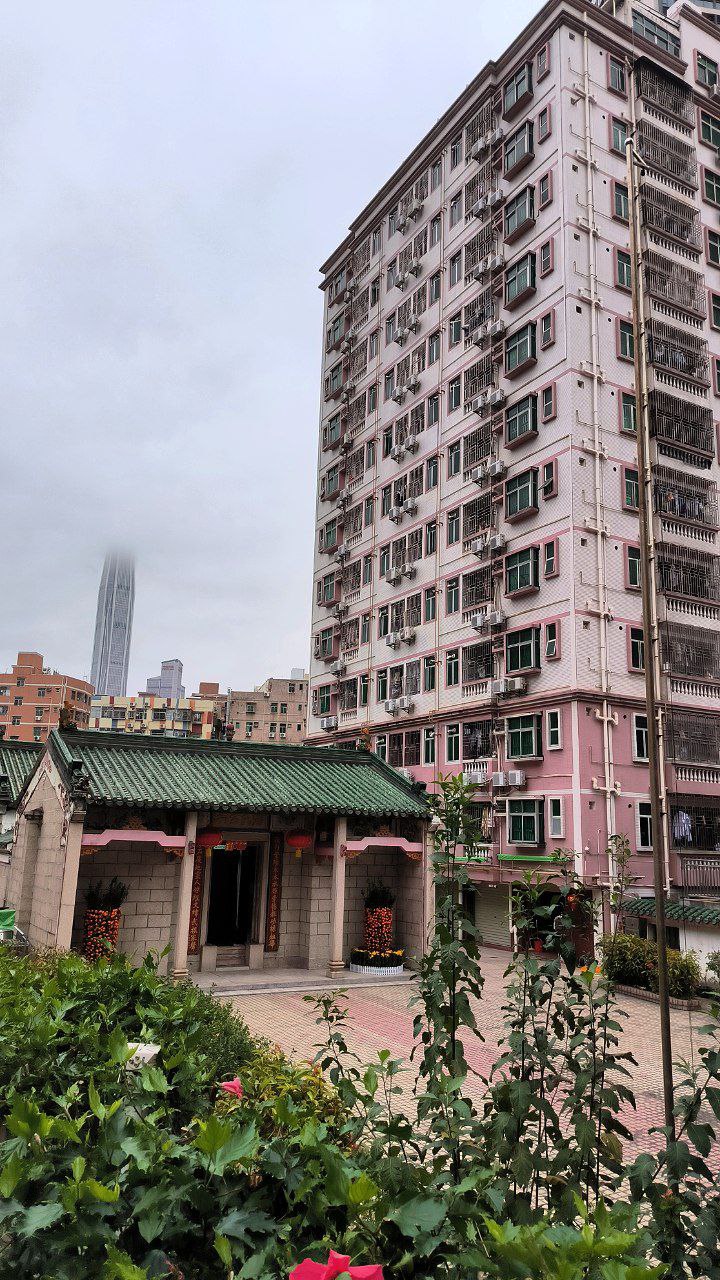 #Shenzhen, media 3