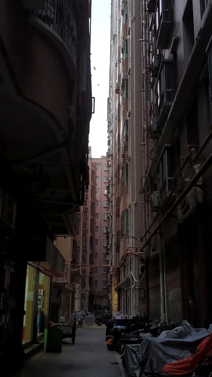 #Shenzhen, media 7