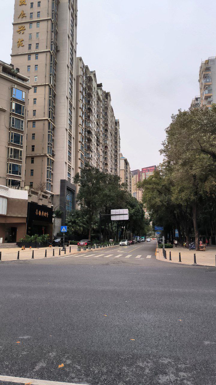 #Shenzhen, media 2
