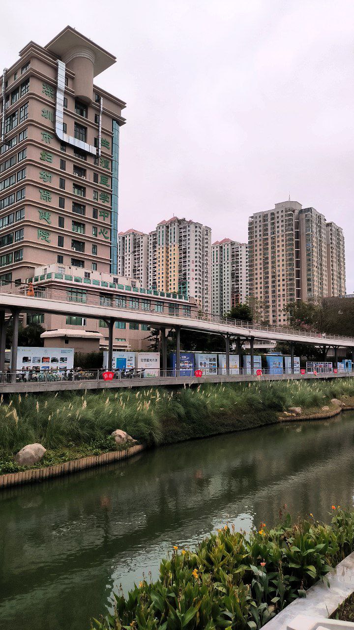 #Shenzhen, media 5