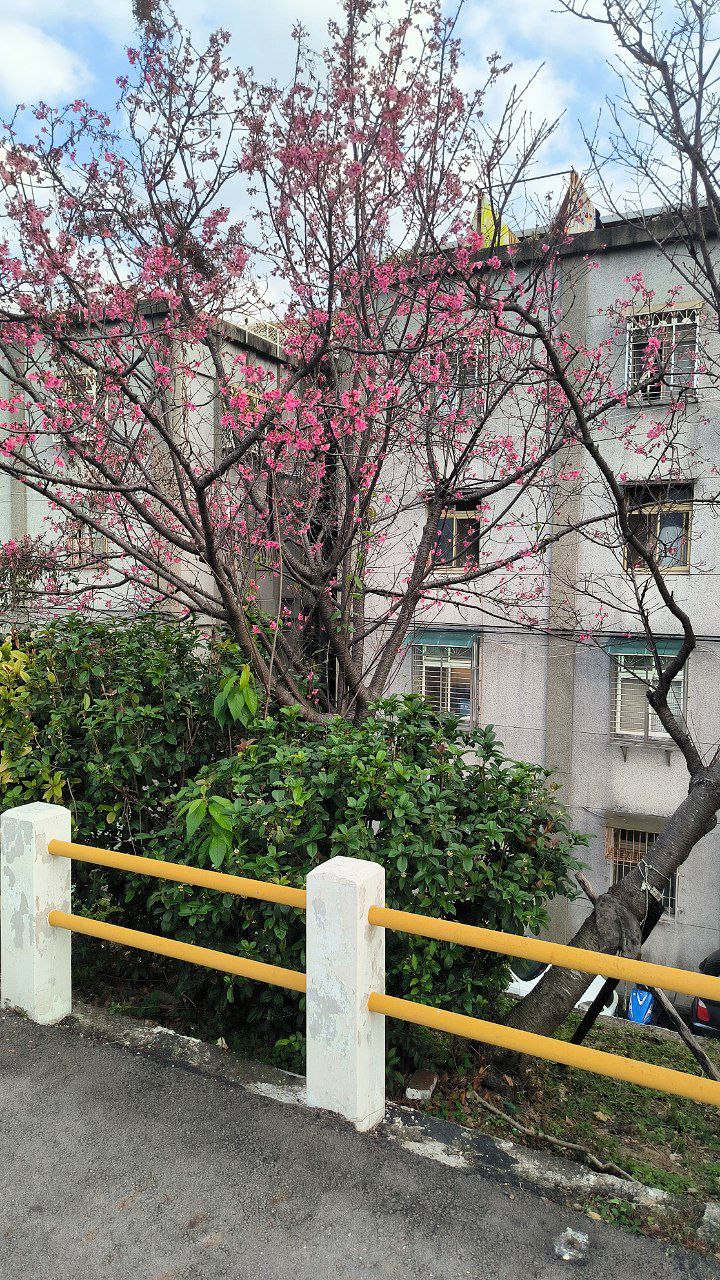 #Taipei, media 3