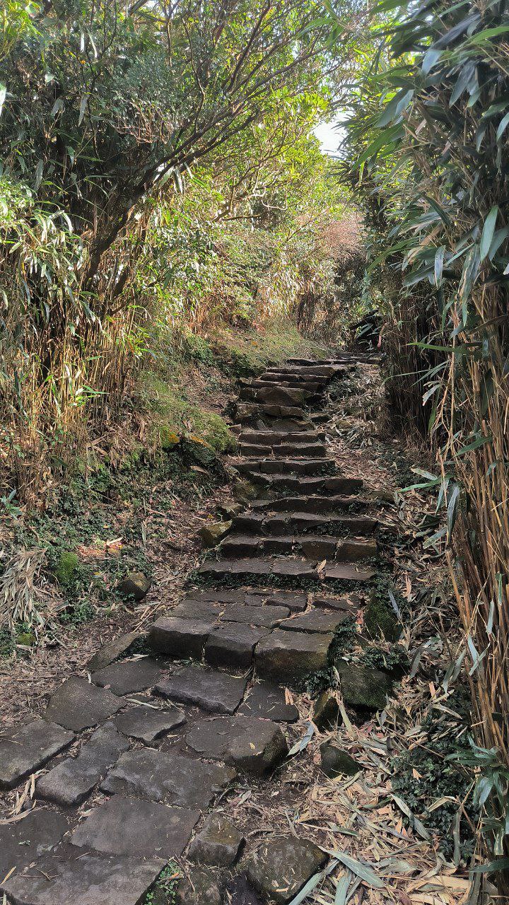 #Taipei, media 2