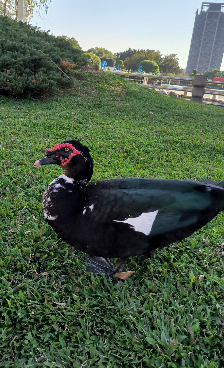 Travel post — February 23, 2024, media 1