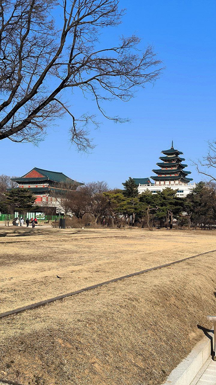#Seoul, media 7