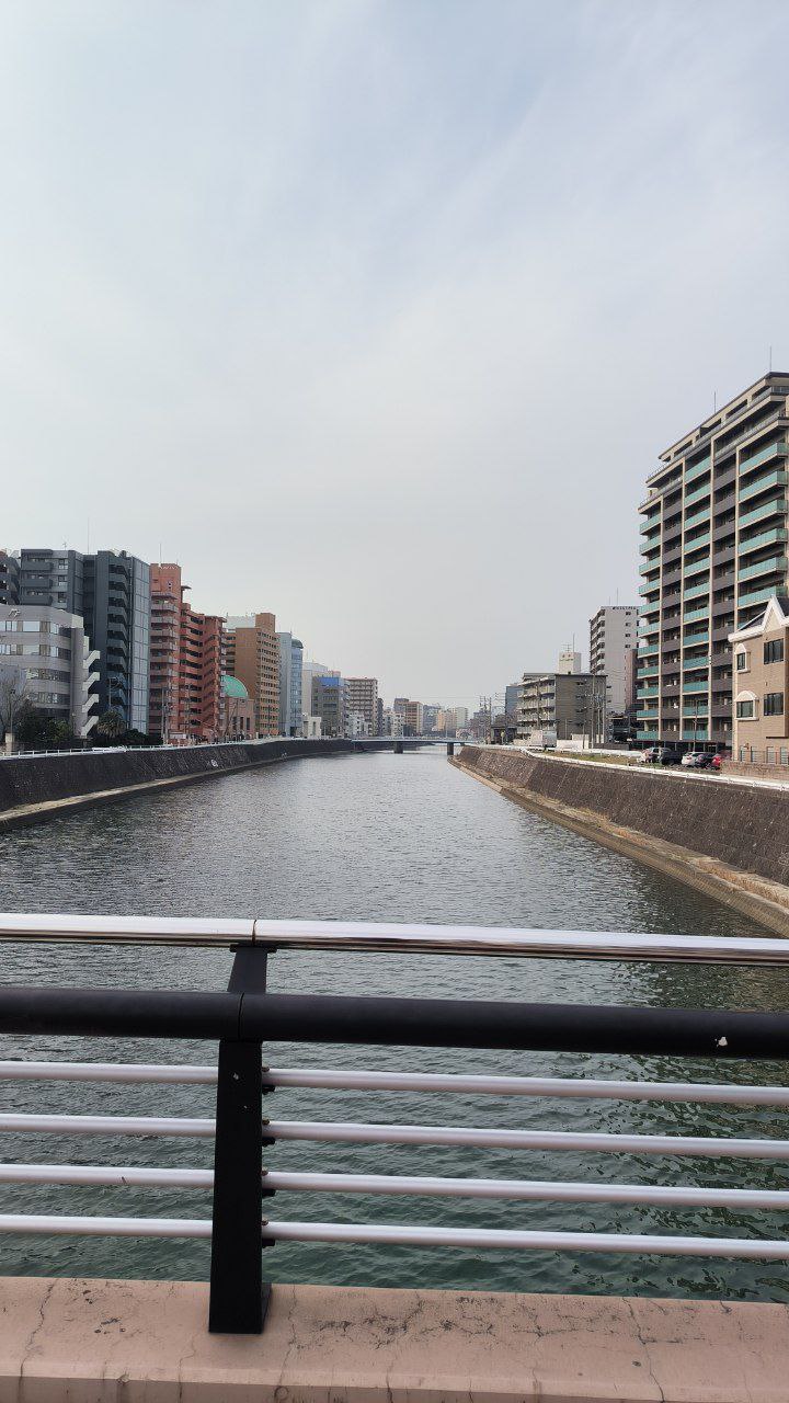 A month of Japan is starting on the channel 🇯🇵!, media 6