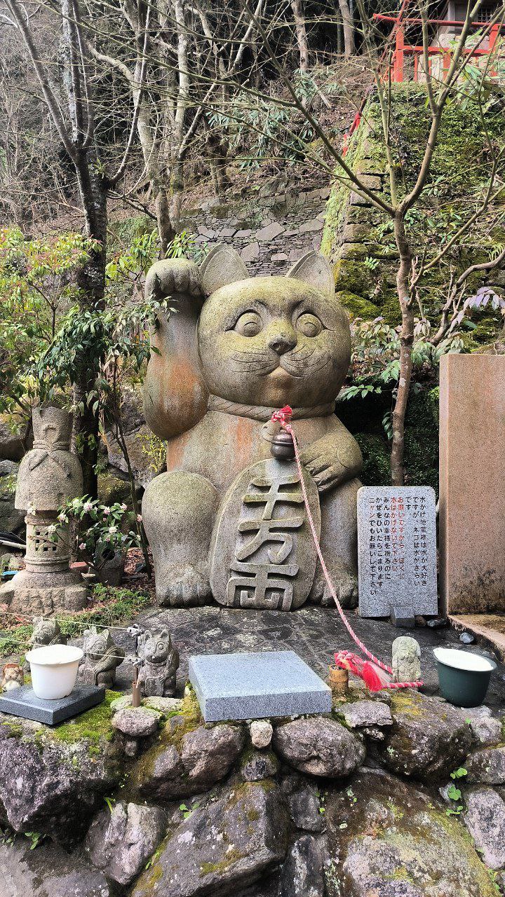 #Fukuoka, media 4