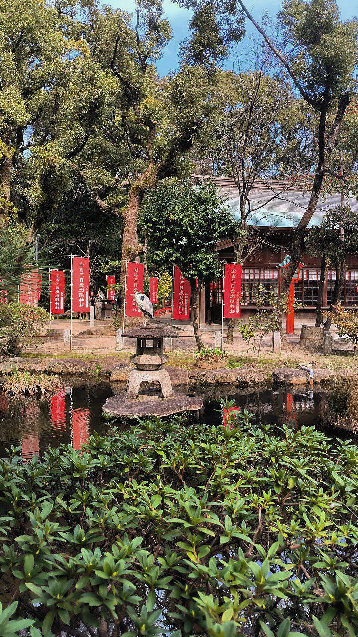 #Fukuoka, media 1