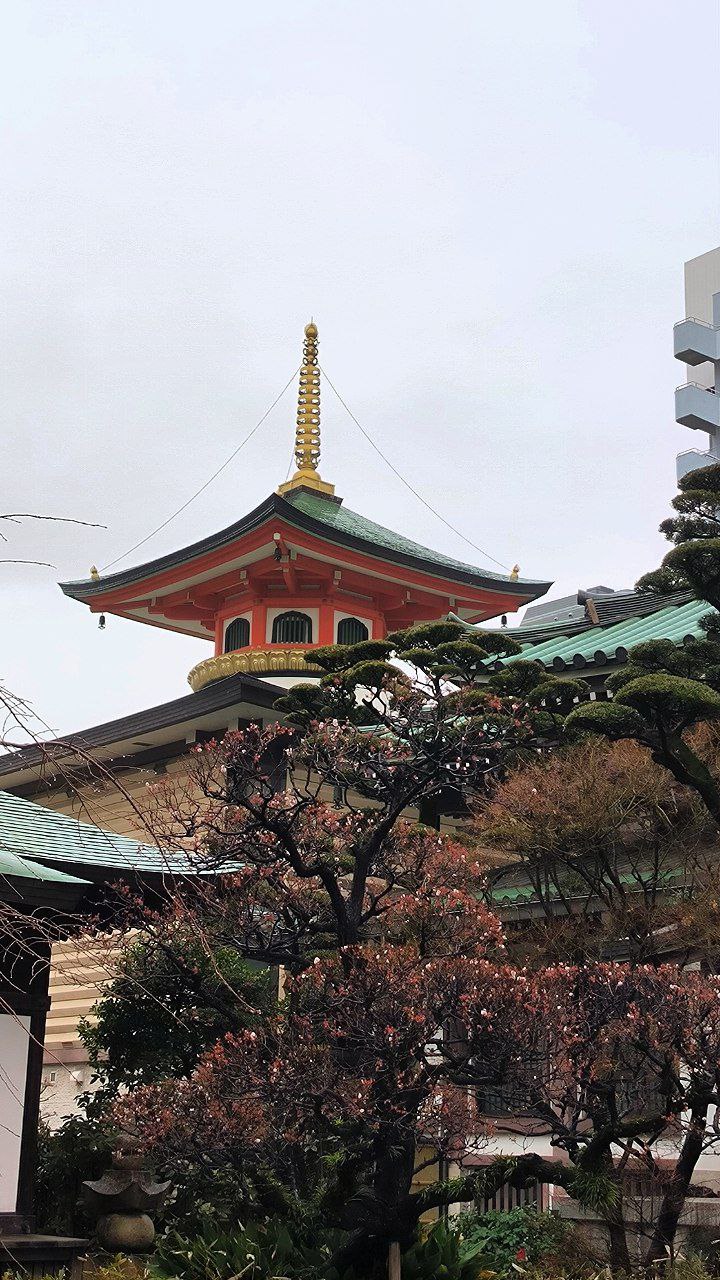 #Fukuoka, media 5