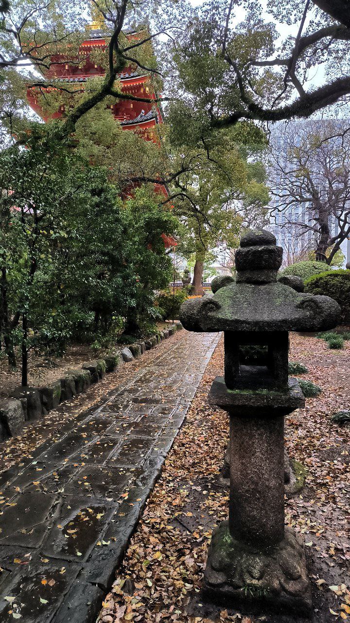 #Fukuoka, media 6