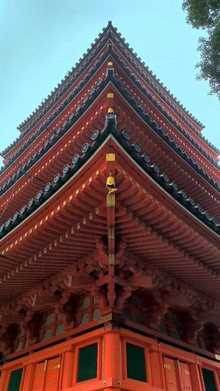 #Fukuoka, media 7