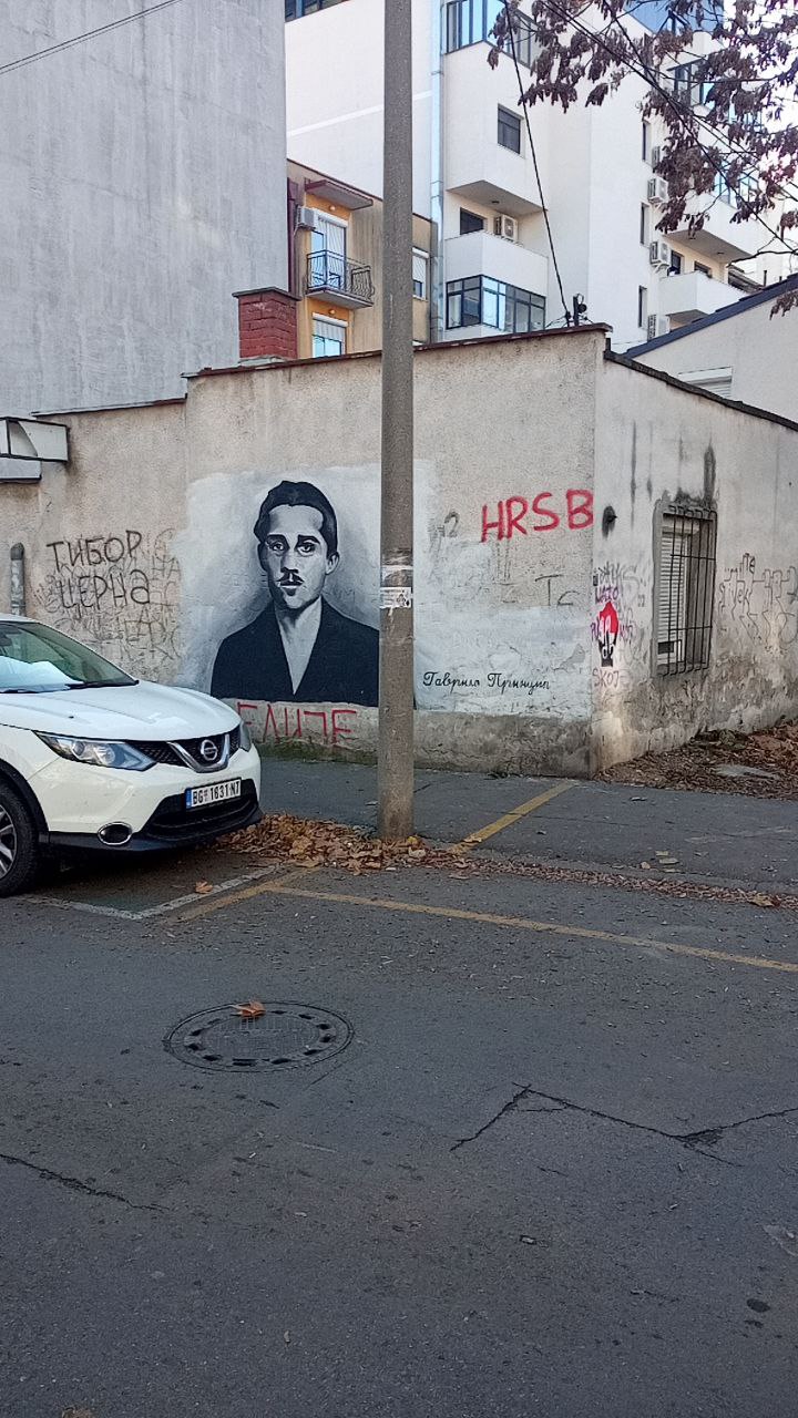 #Belgrade, media 4