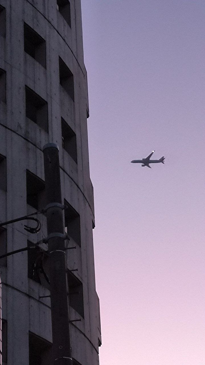 #Tokyo, media 4