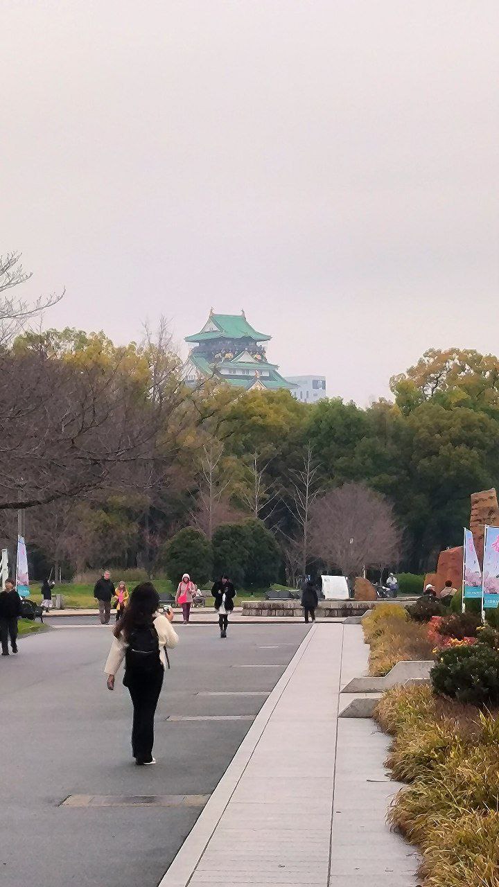 #Osaka, media 3
