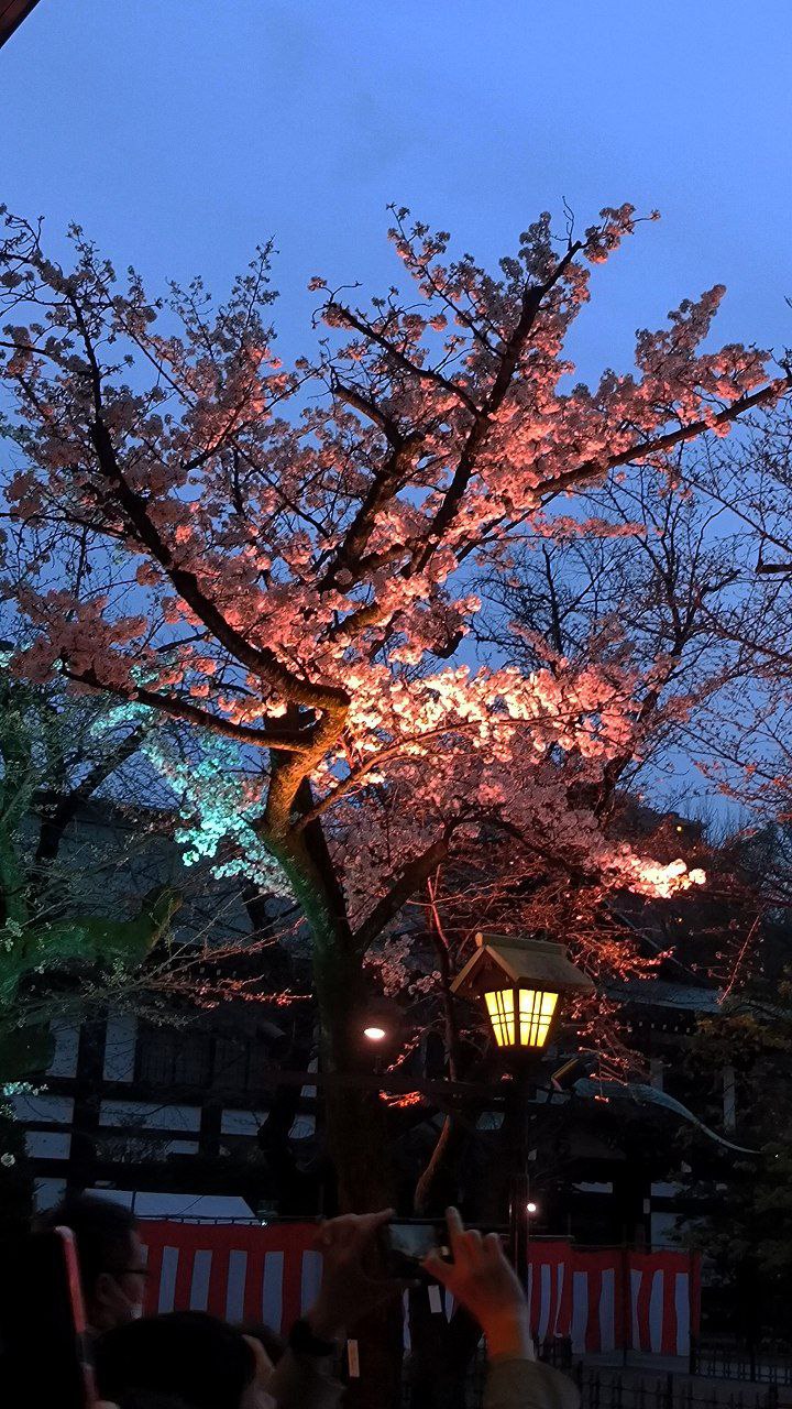 #Tokyo, media 4
