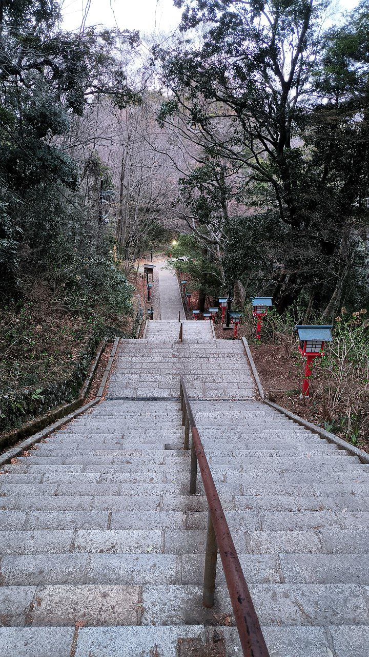 #Tokyo, media 9