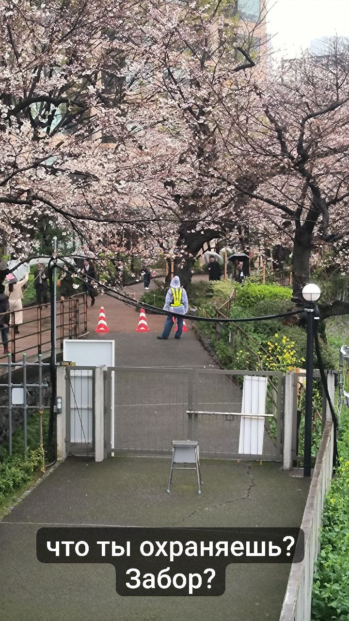 #Tokyo, media 1