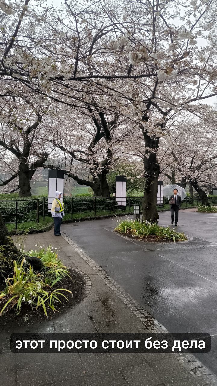#Tokyo, media 2