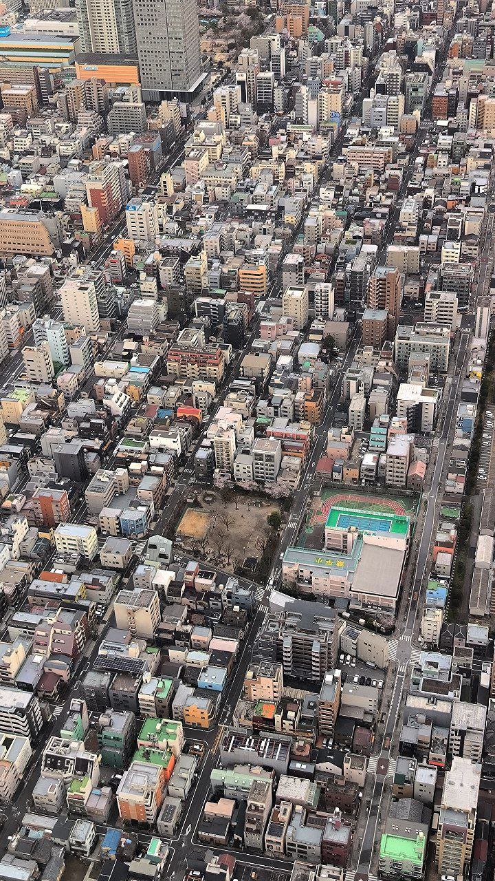 #Tokyo, media 4