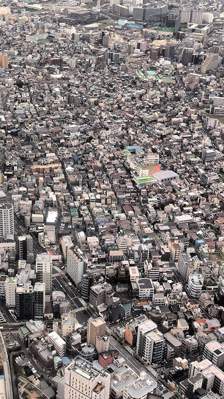 #Tokyo, media 5