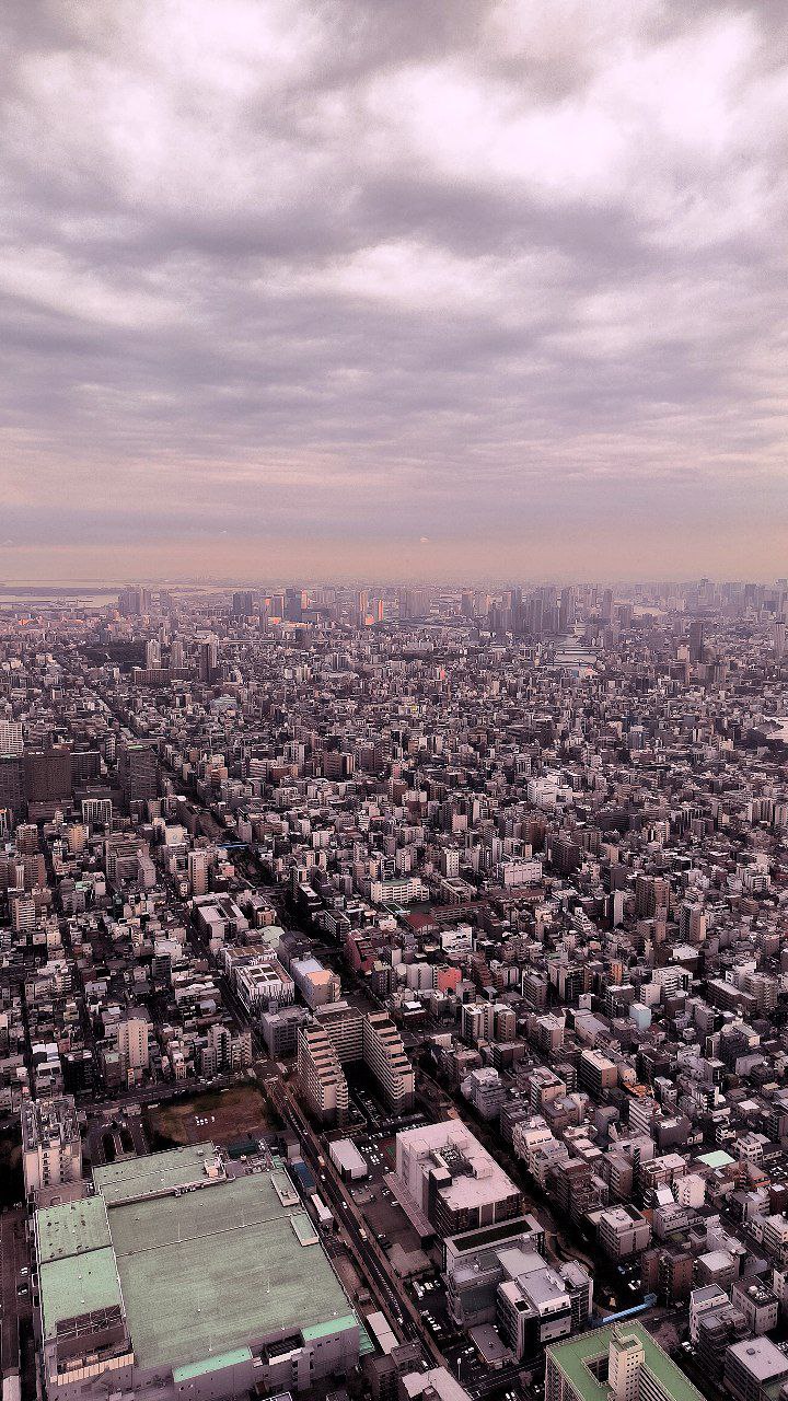 #Tokyo, media 7