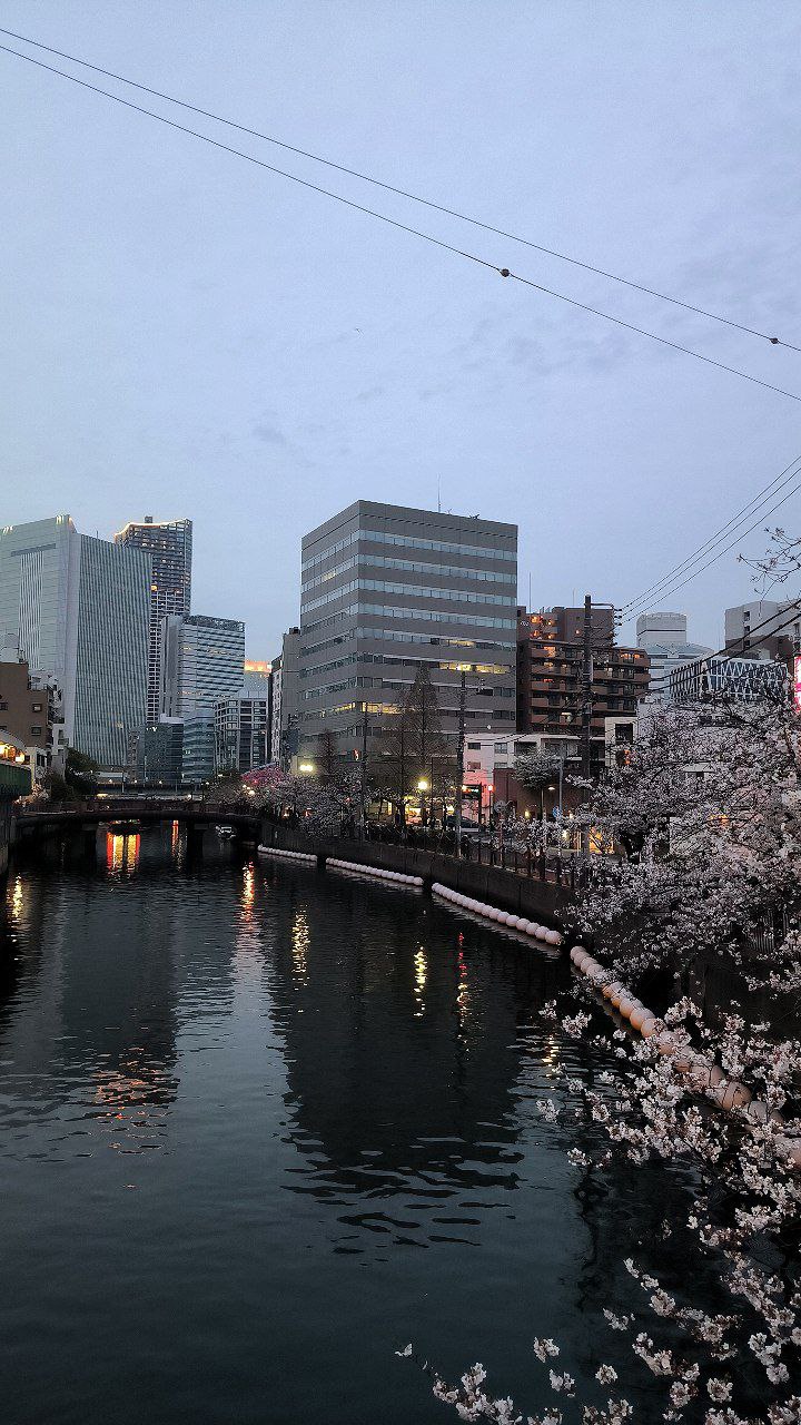 #Tokyo #Yokohama, media 5