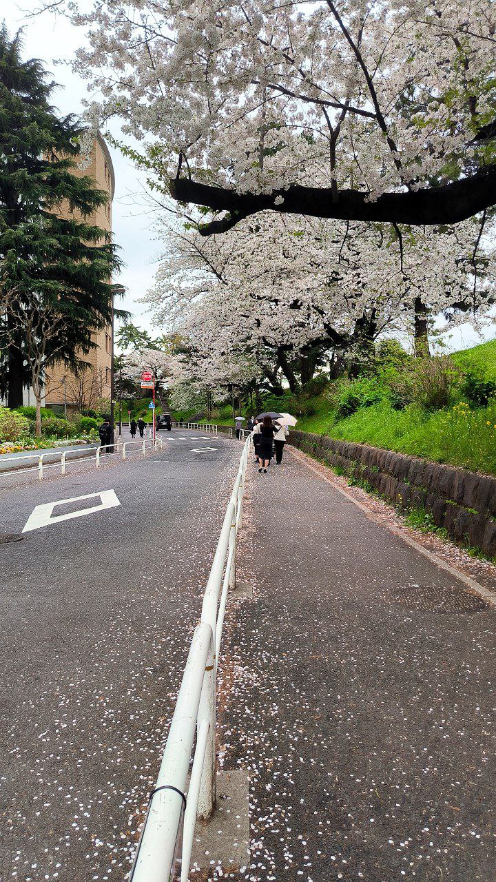#Tokyo, media 2