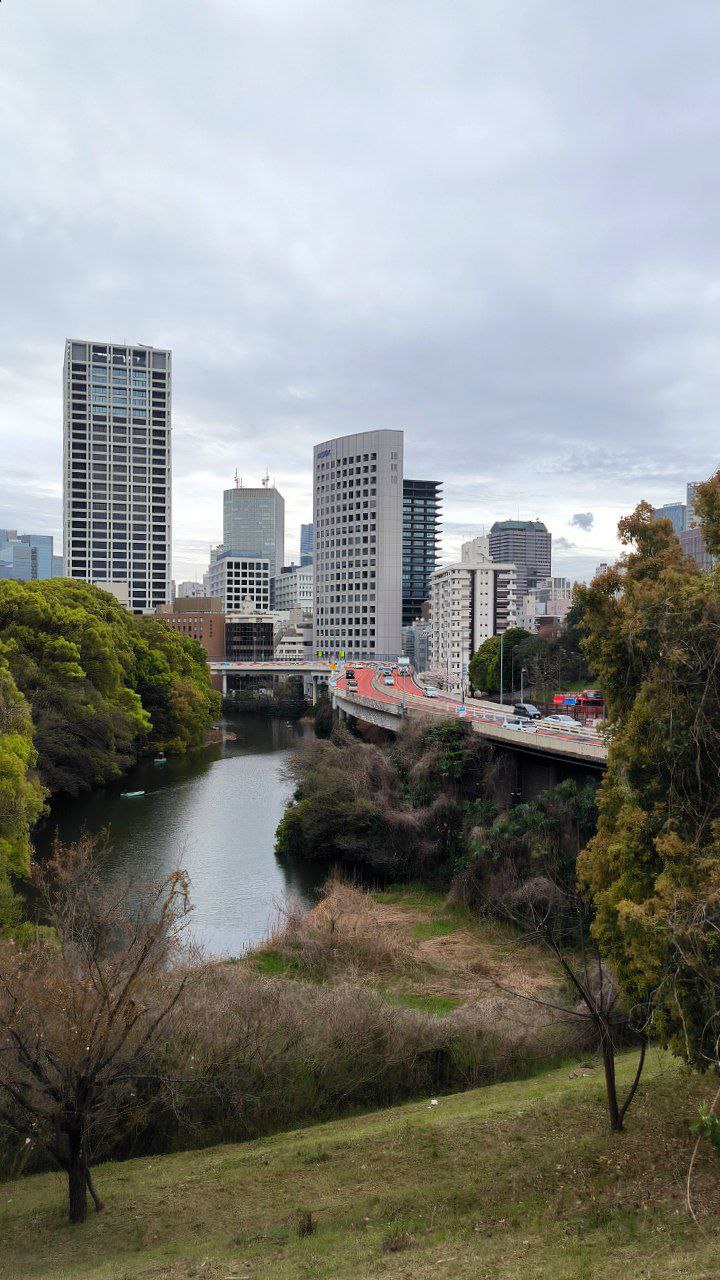 #Tokyo, media 3