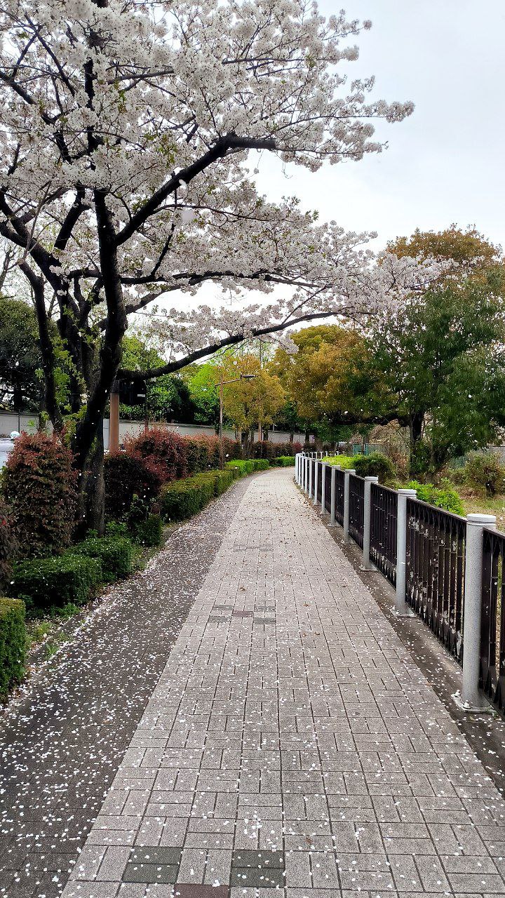 #Tokyo, media 4