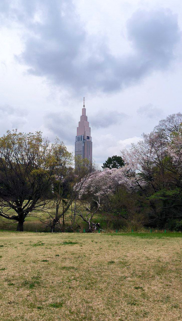 #Tokyo, media 5