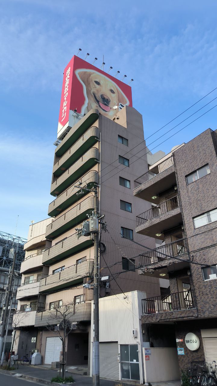 #Osaka / #Tokyo, media 6