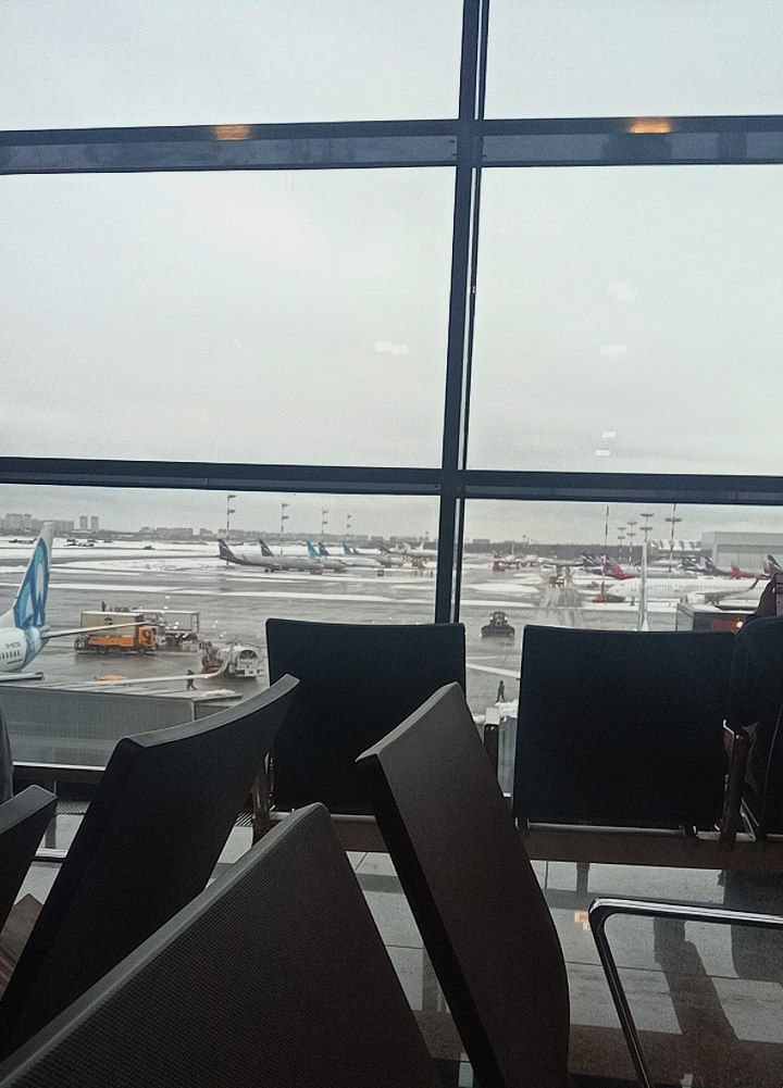 🇷🇺 -> 🇰🇷, media 1