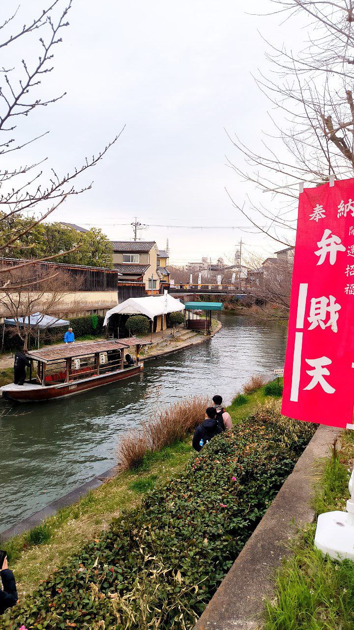 #Kyoto, media 5