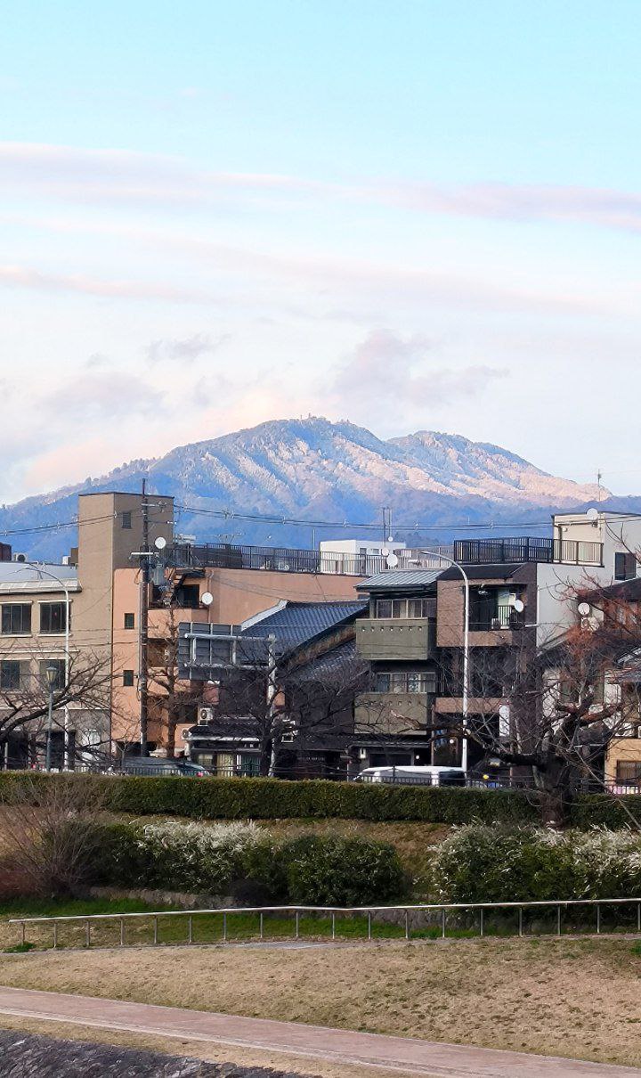 #Kyoto, media 6