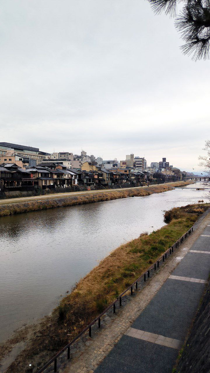 #Kyoto, media 7