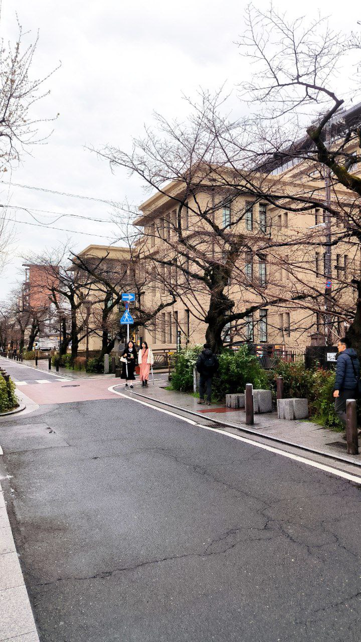 #Kyoto, media 8