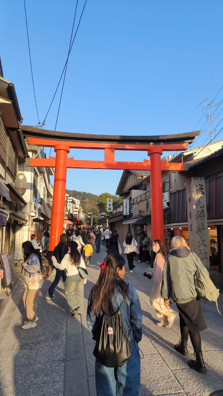 #Kyoto, media 1
