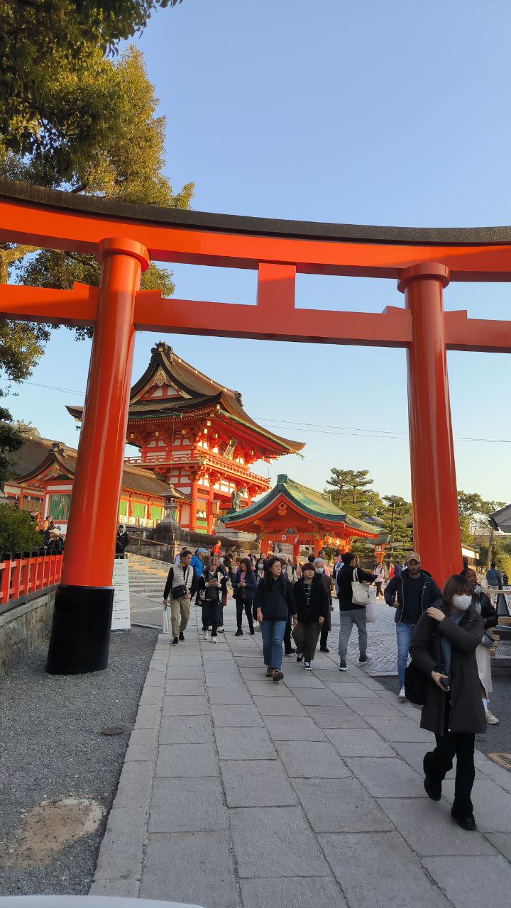 #Kyoto, media 2
