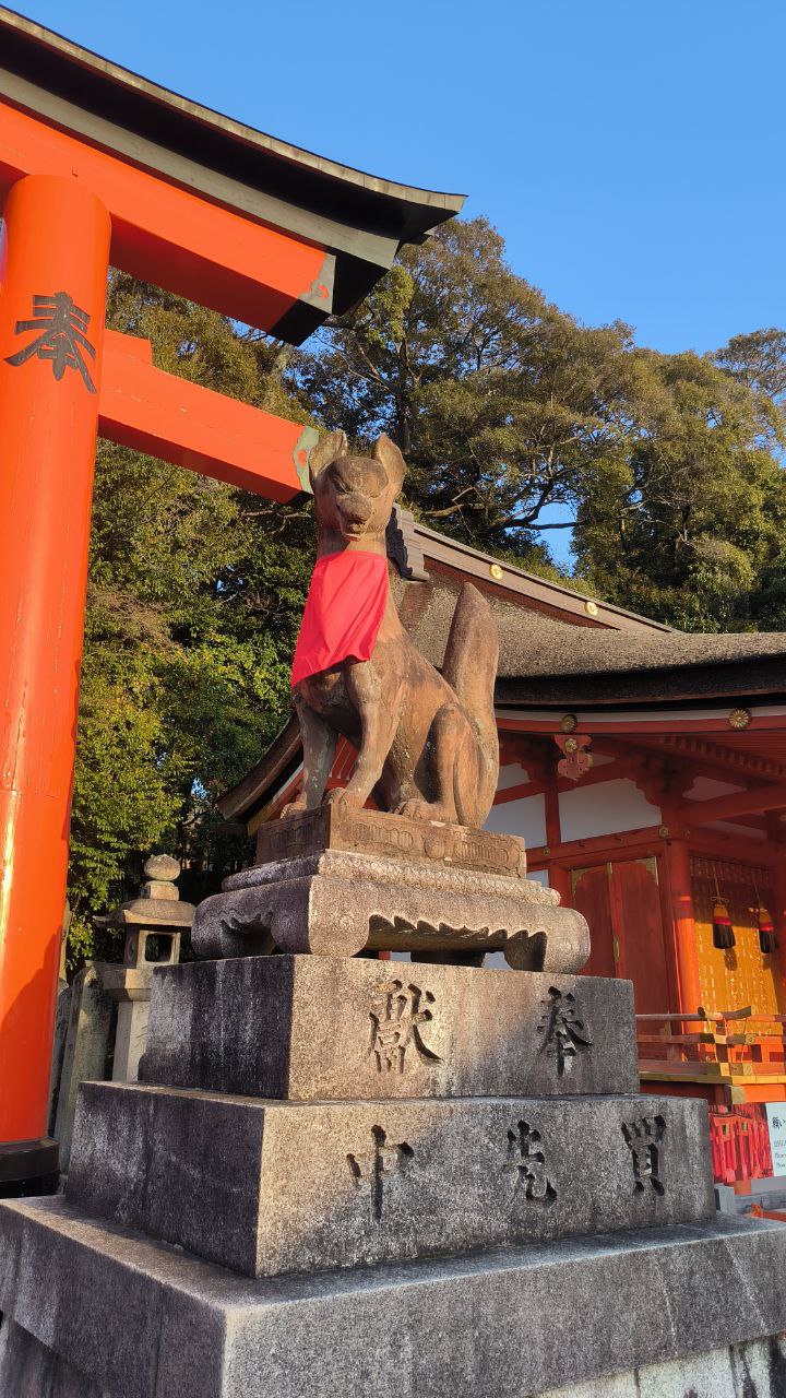 #Kyoto, media 4