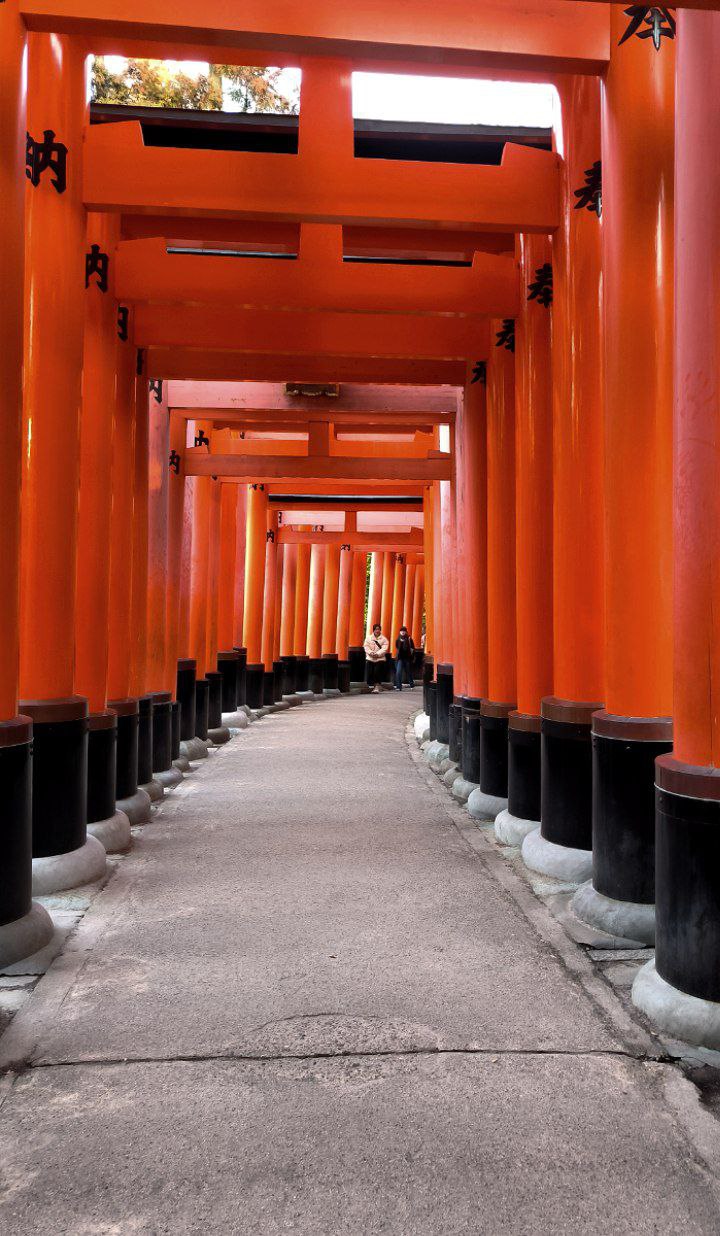 #Kyoto, media 5