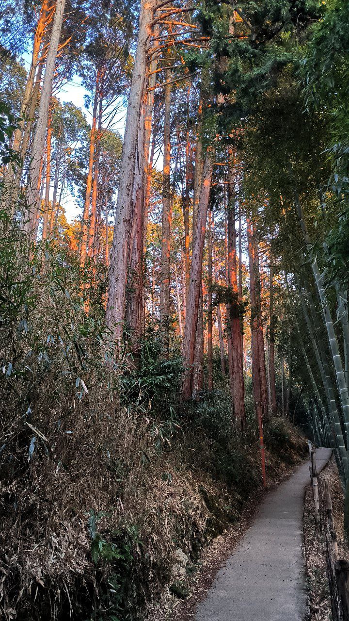 #Kyoto, media 7