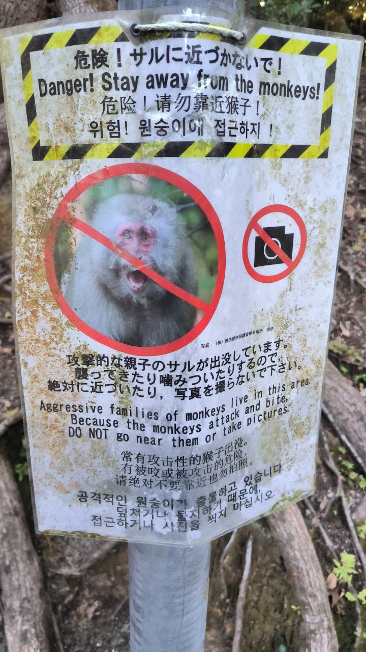 #Kyoto, media 8