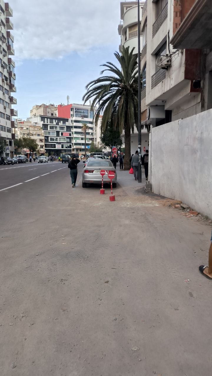 #Casablanca, media 1