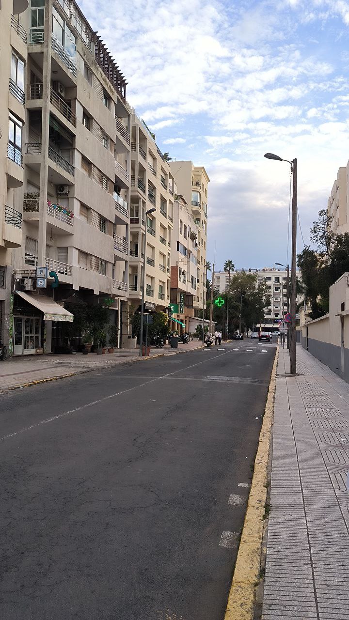 #Casablanca, media 2