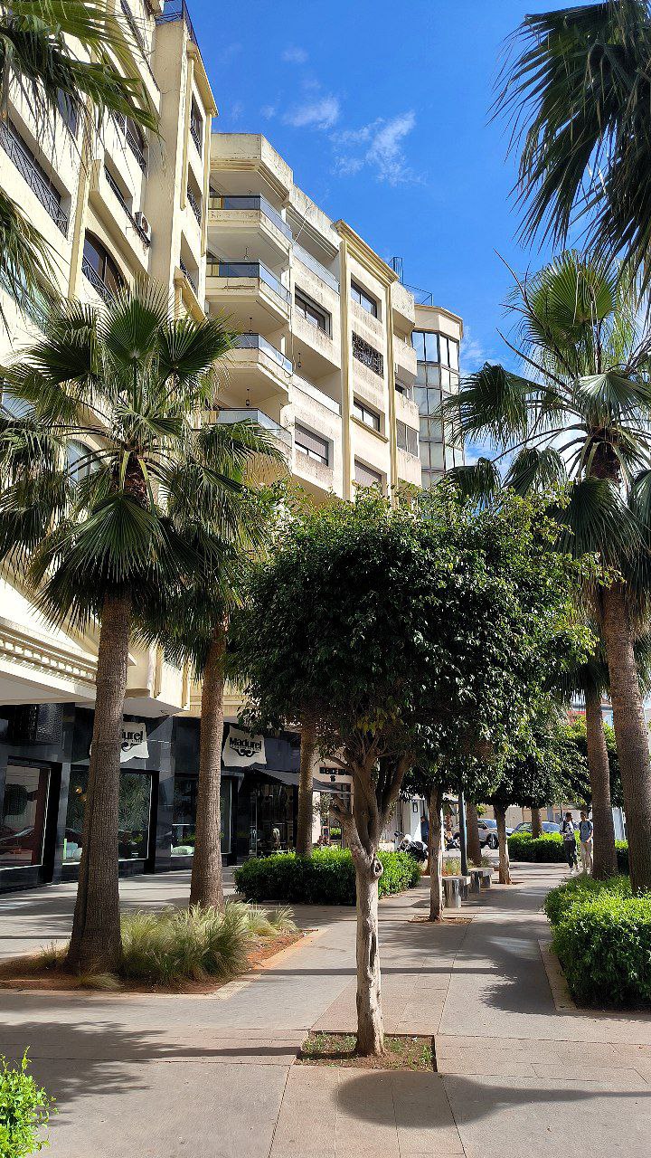 #Casablanca, media 1