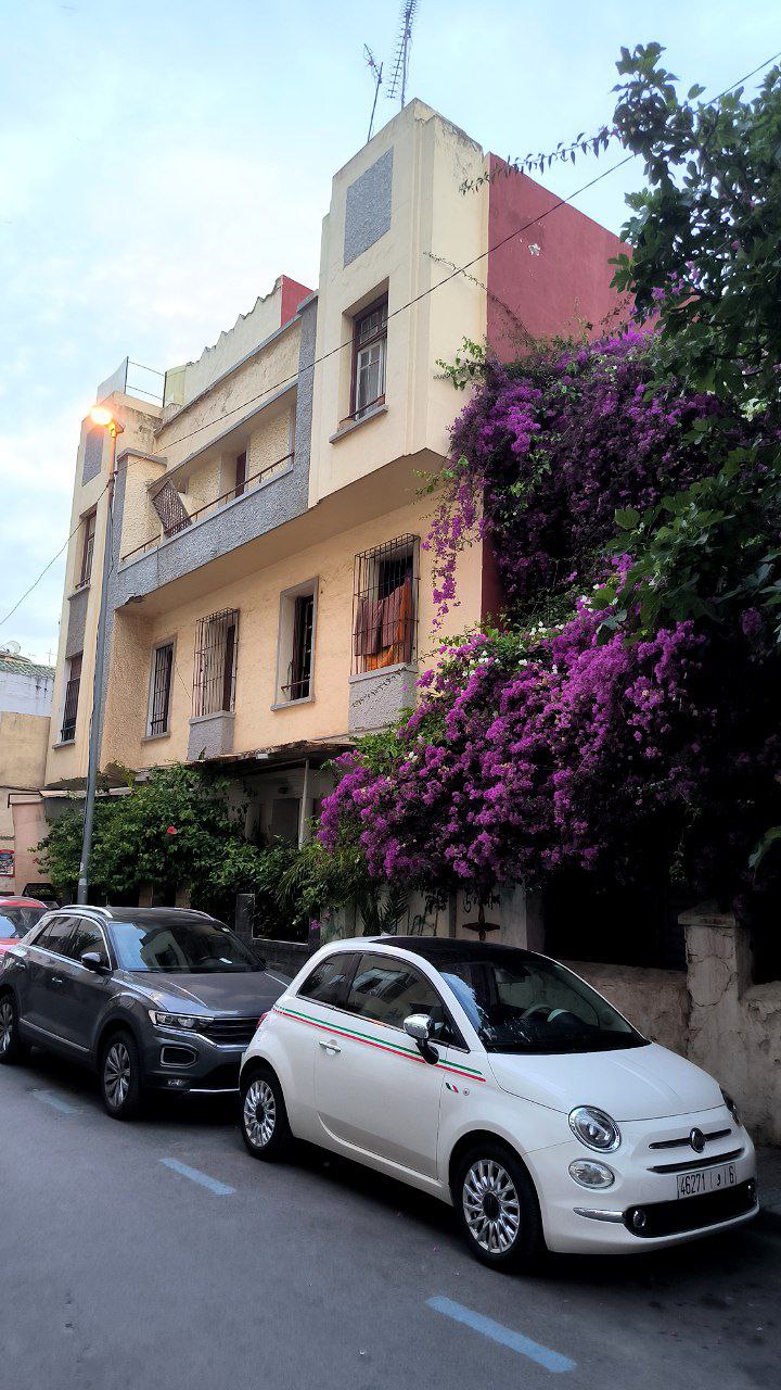 #Casablanca, media 2